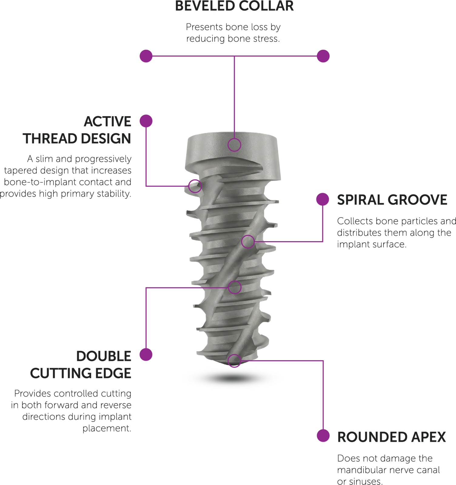 Powerbone implant anatomy: beveled collar, active thread design, spiral groove, double cutting edge and rounded apex